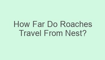 how far do roaches travel from nest 101068