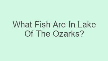 what fish are in lake of the ozarks 100982