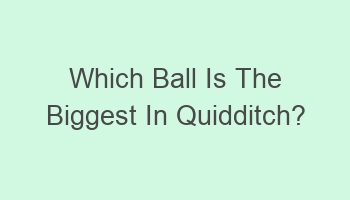 which ball is the biggest in quidditch 100976