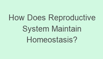 how does reproductive system maintain homeostasis 101999