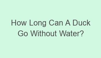 how long can a duck go without water 102548