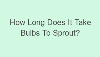 how long does it take bulbs to sprout 101262