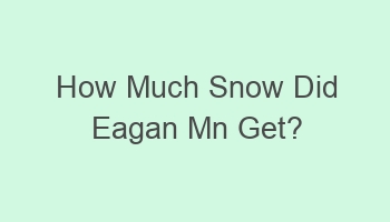 how much snow did eagan mn get 102354