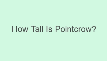 how tall is pointcrow 101507