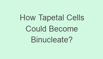 how tapetal cells could become binucleate 102251