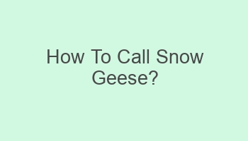 how to call snow geese 101510