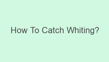 how to catch whiting 102326