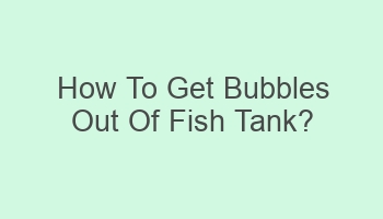 how to get bubbles out of fish tank 102389