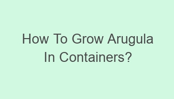 how to grow arugula in containers 101469