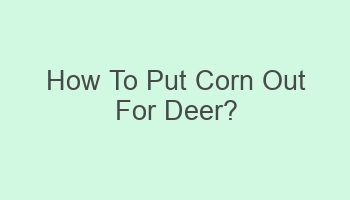 how to put corn out for deer 101081