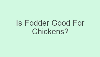 is fodder good for chickens 102285