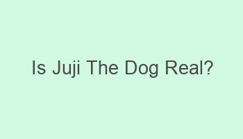 is juji the dog real 101342