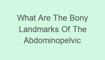 what are the bony landmarks of the abdominopelvic cavity 102138