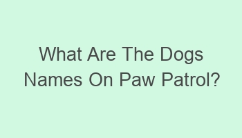 what are the dogs names on paw patrol 101760