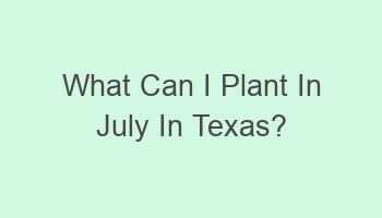 what can i plant in july in