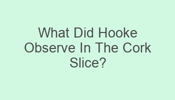 what did hooke observe in the cork slice 101565