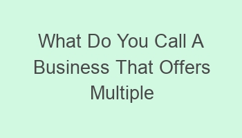 what do you call a business that offers multiple services 102493