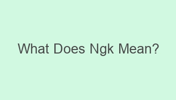 what does ngk mean 101494