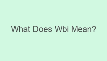 what does wbi mean 102528