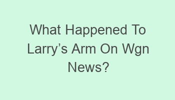 what happened to larrycabcs arm on wgn news 101508