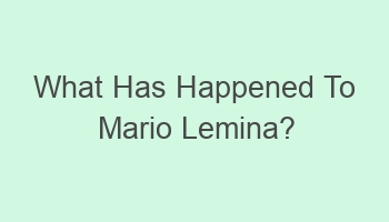 what has happened to mario lemina 102464