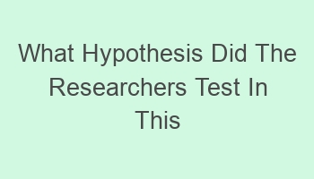 what hypothesis did the researchers test in this study 102504