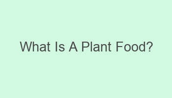 what is a plant food 102073