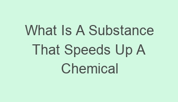 what is a substance that speeds up a chemical reaction 101591