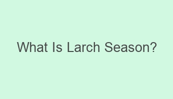 what is larch season 101572