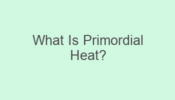 what is primordial heat 101522