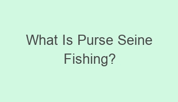 What Is Purse Seine Fishing? - Taluqe