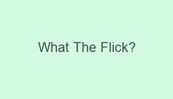 what the flick 101771