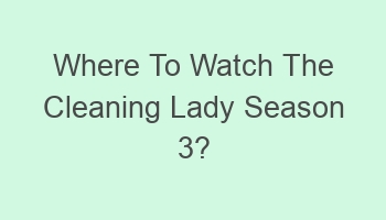 where to watch the cleaning lady season 3 101545