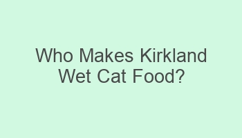 who makes kirkland wet cat food 102457