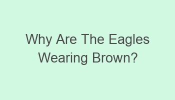 why are the eagles wearing brown 102065