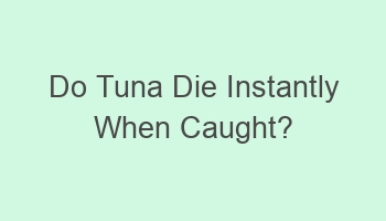 do tuna die instantly when caught 104067