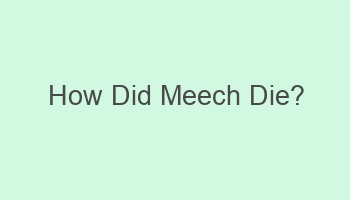 how did meech die 103004