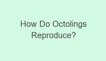 how do octolings reproduce 103557