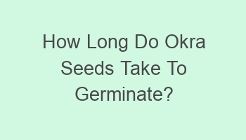 how long do okra seeds take to germinate 104069