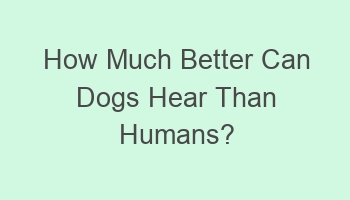 how much better can dogs hear than humans 103447