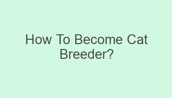 how to become cat breeder 104098