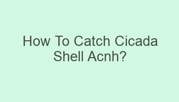 how to catch cicada shell acnh 103660