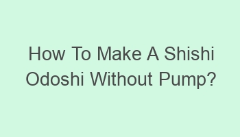 how to make a shishi odoshi without pump 104106