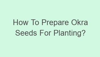 how to prepare okra seeds for planting 103540