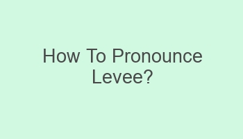 how to pronounce levee 102833