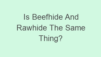 is beefhide and rawhide the same thing 103969