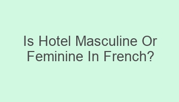 is hotel masculine or feminine in french 104148