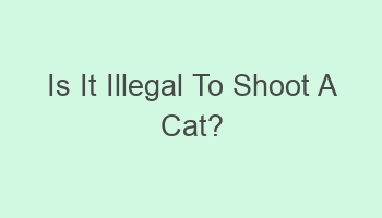 is it illegal to shoot a cat 102810