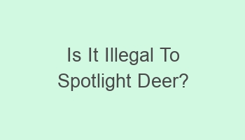 is it illegal to spotlight deer 103541