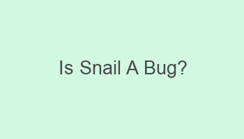 is snail a bug 103884